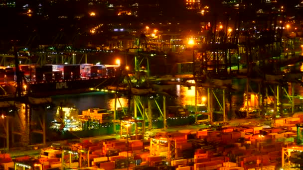 夕方の中国の貨物輸送港のタイムラプス映像 — ストック動画