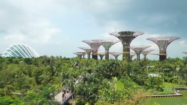 Jardins Bord Baie Avec Ciel Bleu Singapour — Video