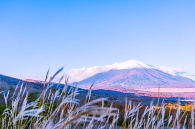 Fuji Dağı yamanakako ya da yamanaka Gölü sonbahar sezonu Japonya'nın güzel manzara