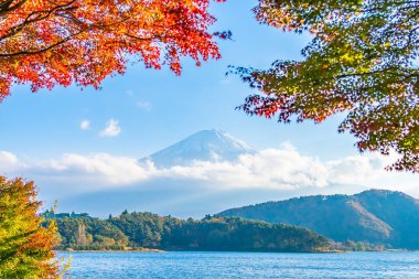 Güzel manzara dağ fuji göl Yamanashi Japonya akçaağaç ağaç yaprak ile