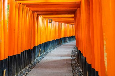 Güzel fushimi Inari tapınak tapınak Kyoto Japonya'da