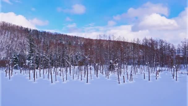 Szenische Aufnahmen Einer Wunderschönen Winterlandschaft — Stockvideo