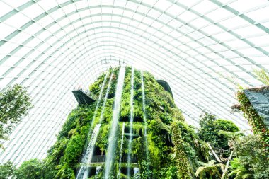 Çiçek kubbe Bahçe ve sera orman landmark Singapur City seyahat için bina güzel mimari