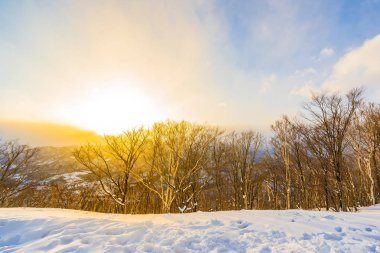 Dağın etrafından kar kış sezonu günbatımı zaman Sapporo Hokkaido Japonya ağacında ile güzel manzara