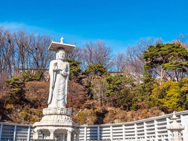 Krásný Buddhismus Socha Bongeunsa Temple City Soul Jižní Korea — Stock fotografie