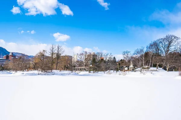 美丽的风景与树在雪冬天季节为旅行在北海道日本 — 图库照片
