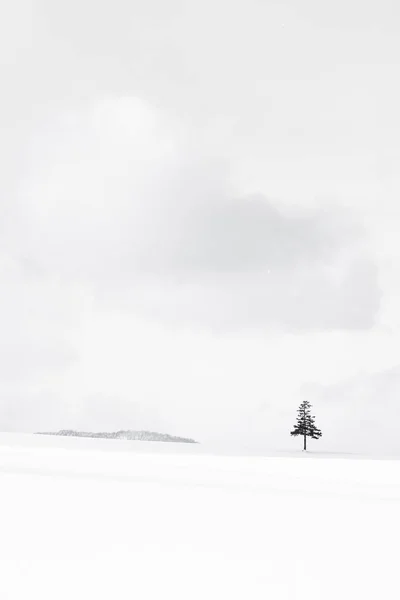 Bela Paisagem Natural Livre Árvore Natal Temporada Neve Inverno Com — Fotografia de Stock