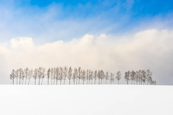 Красивый Природный Ландшафт Открытым Небом Группой Ветвей Деревьев Снежный Зимний — стоковое фото