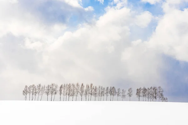 雪冬シーズン北海道で木の枝のグループと美しい屋外の自然風景 — ストック写真