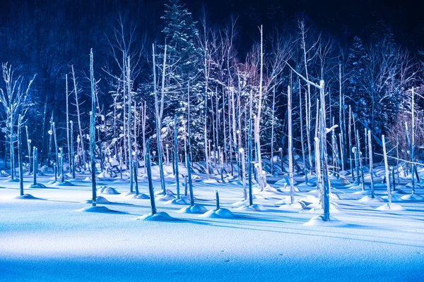 Bellissimo Paesaggio Esterno Con Laghetto Blu Fiume Notte Con Luce — Foto Stock