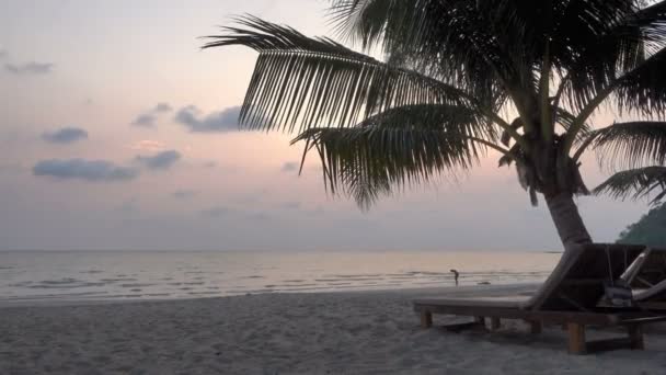 Tranquil Footage Beautiful Wavy Sea Sunset — Stock Video