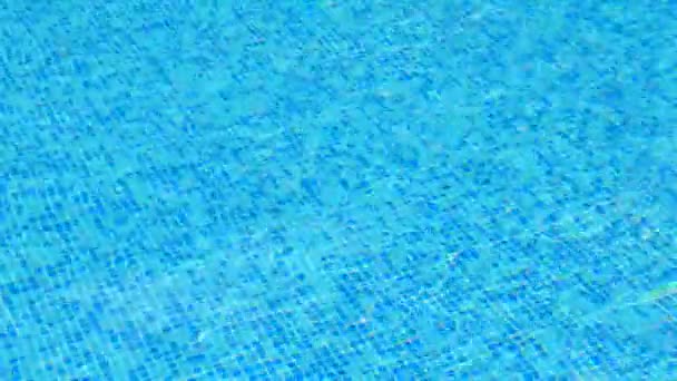 Imagens Quadro Completo Piscina Água — Vídeo de Stock