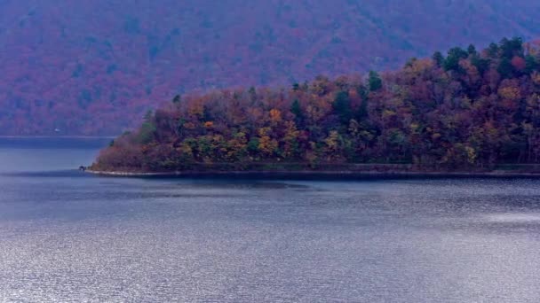 晴れた日の美しい湖の風光明媚な映像 — ストック動画
