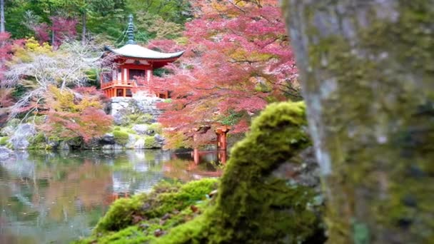 Vyhlídkové Záběry Nádherné Tradiční Japonské Pagody — Stock video