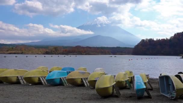 Imágenes Escénicas Hermoso Lago Día Soleado — Vídeos de Stock