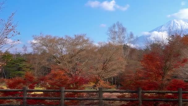 Images Panoramiques Belle Montagne Fuji Japon — Video