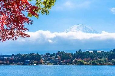 Dağ fuji akçaağaç yaprağı ağaç göl sonbahar sezonu ile güzel manzara