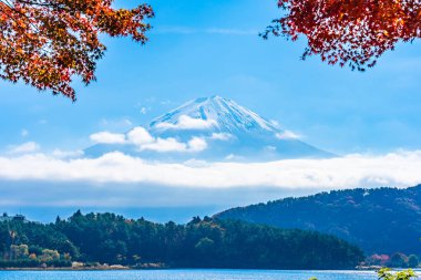 Dağ fuji akçaağaç yaprağı ağaç göl sonbahar sezonu ile güzel manzara