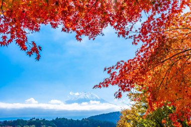 Dağ fuji akçaağaç yaprağı ağaç göl sonbahar sezonu ile güzel manzara