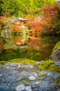 Renkli ağaç ve yaprak sonbahar sezonu Kyoto Japonya ile güzel Daigoji Tapınağı