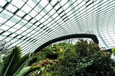 Çiçek kubbe Bahçe ve sera orman landmark Singapur City seyahat için bina güzel mimari