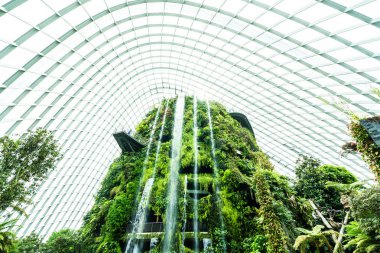 Çiçek kubbe Bahçe ve sera orman landmark Singapur City seyahat için bina güzel mimari