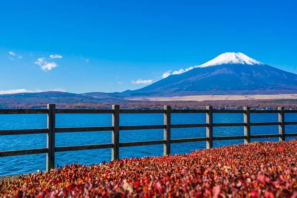 Hermoso Paisaje Montaña Fuji Alrededor Del Lago Yamanakako Japón — Foto de Stock