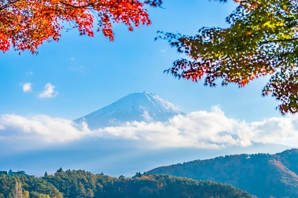 Bellissimo Paesaggio Montagna Fuji Con Acero Foglia Intorno Lago Yamanashi — Foto Stock