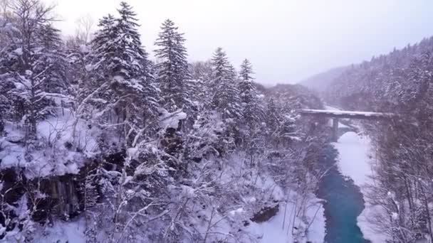 Γραφικά Πλάνα Από Όμορφο Χειμερινό Τοπίο — Αρχείο Βίντεο