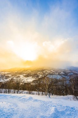 Dağın etrafından kar kış sezonu günbatımı zaman Sapporo Hokkaido Japonya ağacında ile güzel manzara