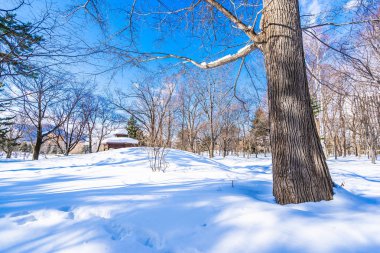 Kar kış sezonu için seyahat Hokkaido Japonya ağacında ile güzel manzara