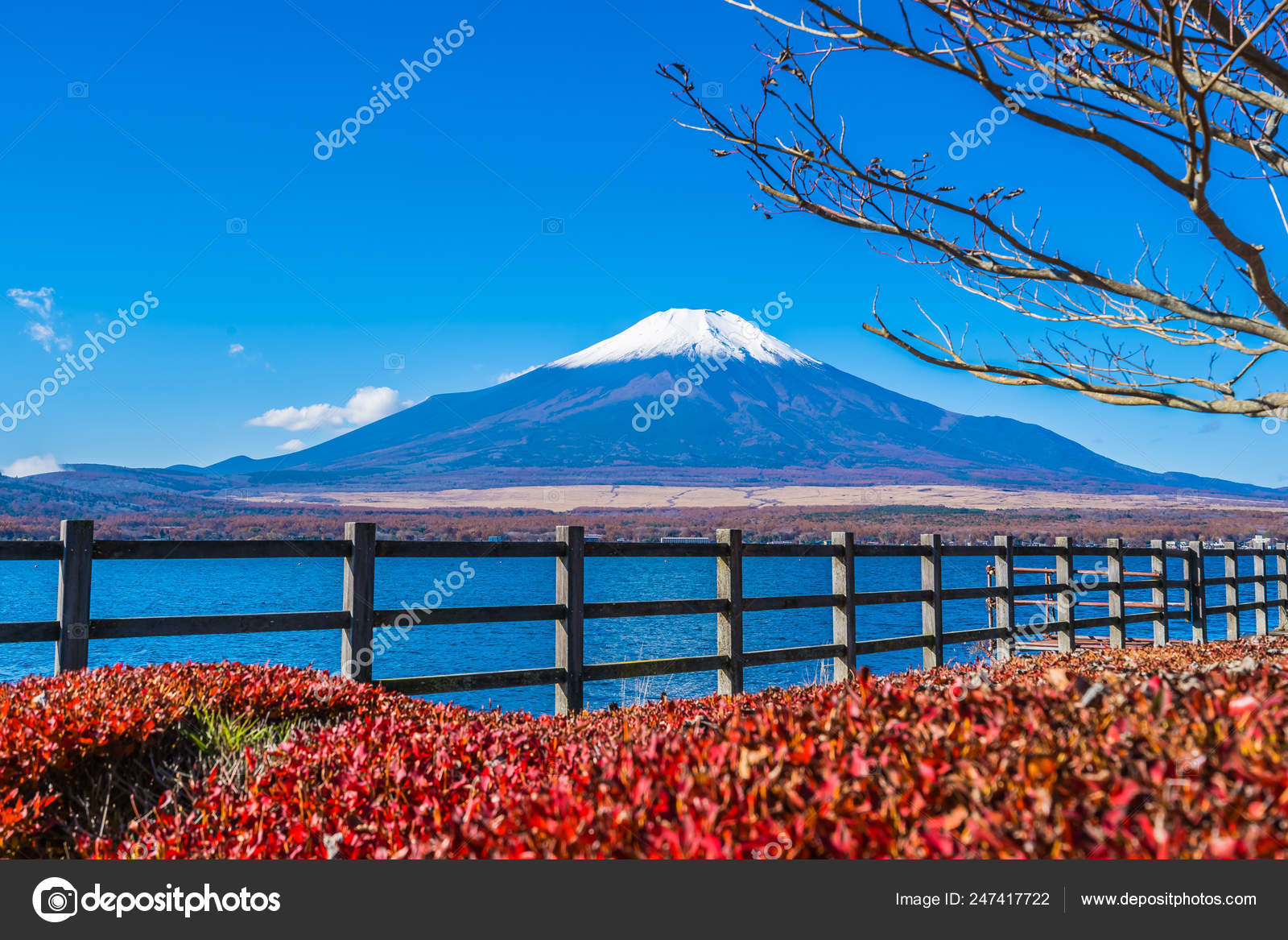 富士山图库照片 免版税富士山图片 Depositphotos 富士山图库照片 免版税富士山图片 Depositphotos