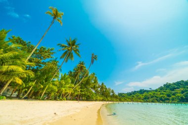 Güzel tropikal plaj ve deniz paradise Island Seyahat ve tatil için Hindistan cevizi hurma ağacı