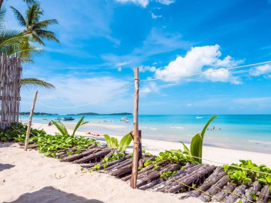 Güzel tropikal plaj deniz ve okyanus seyahat etmek ve kopya alanı ile tatil için