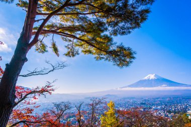 Güzel manzara dağ fuji akçaağaç yaprağı ağaç beyaz bulut ve Yamanashi Japonya sonbahar sezonu mavi gökyüzü ile çevresinde