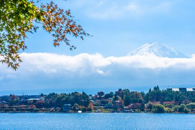 Dağ fuji akçaağaç yaprağı ağaç göl sonbahar sezonu ile güzel manzara