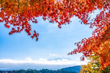 Dağ fuji akçaağaç yaprağı ağaç göl sonbahar sezonu ile güzel manzara