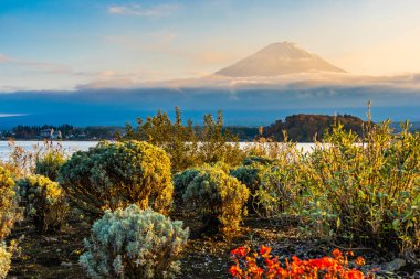 Dağ fuji akçaağaç yaprağı ağaç göl günbatımı zaman Yamanashi Japonya sonbahar sezonu ile güzel manzara