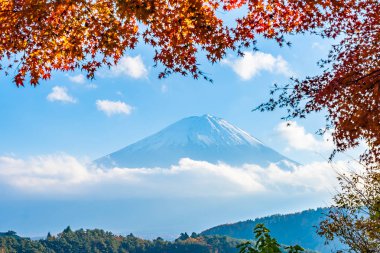 Güzel manzara dağ fuji göl Yamanashi Japonya akçaağaç ağaç yaprak ile