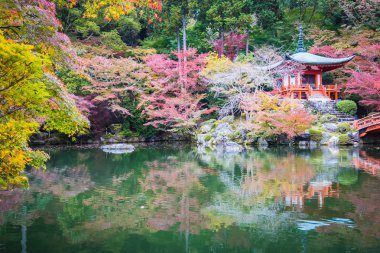 Renkli ağaç ve yaprak sonbahar sezonu Kyoto Japonya ile güzel Daigoji Tapınağı