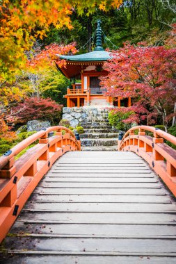 Renkli ağaç ve yaprak sonbahar sezonu Kyoto Japonya ile güzel Daigoji Tapınağı