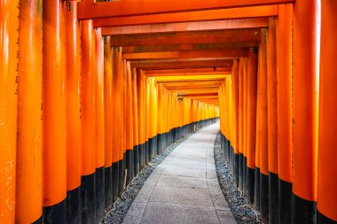Güzel fushimi Inari tapınak tapınak Kyoto Japonya'da