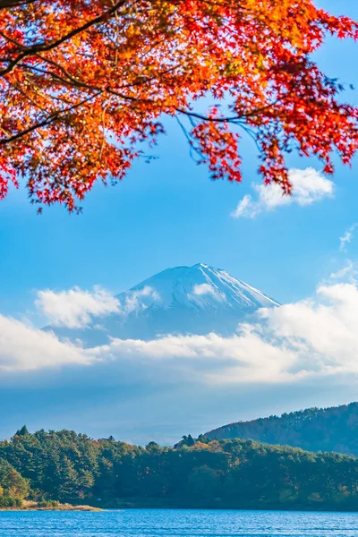 Bela Paisagem Fuji Montanha Com Árvore Folha Bordo Torno Lago — Fotografia de Stock