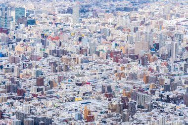 Dağ manzarası kış sezon Sapporo City Hokkaido Japonya ile bina güzel mimari