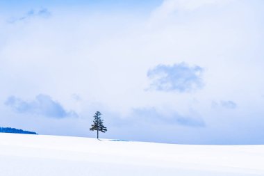 Güzel açık doğa manzara ve kış Kar sezonu kopya alanı ile Noel ağacı