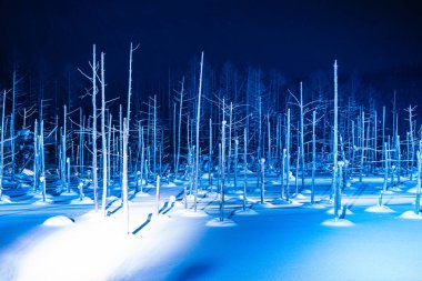 Mavi Göl nehir karda ışığı ile gece biei Japonya Hokkaido adlı kış sezonu ile güzel açık peyzaj