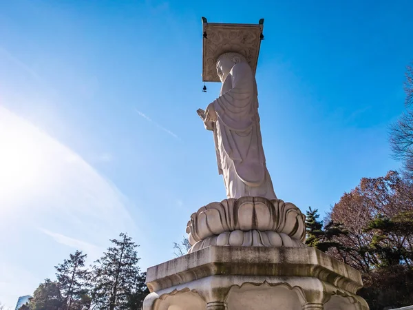 Krásný Buddhismus Socha Bongeunsa Temple City Soul Jižní Korea — Stock fotografie