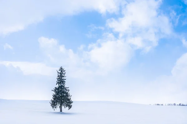 Hermoso Paisaje Naturaleza Aire Libre Con Solo Árbol Navidad Nieve — Foto de Stock