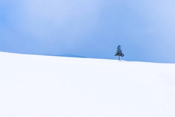 Vackra Utomhus Natur Landskap Och Julgran Vintern Snösäsongen Med Kopia — Stockfoto