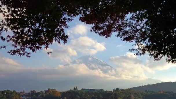 Natursköna Bilder Vackra Berget Fuji Japan — Stockvideo